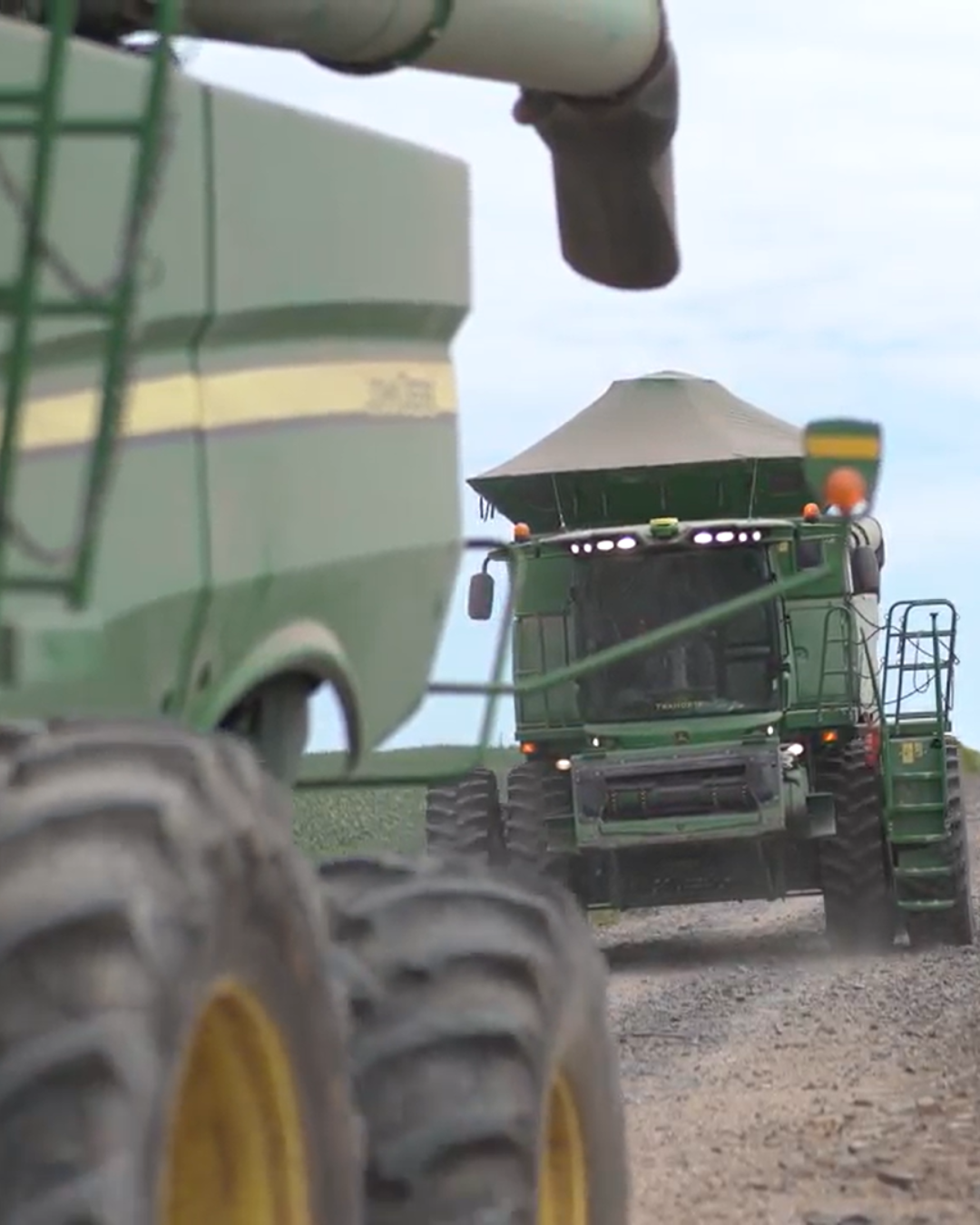 Design sem nome (31)