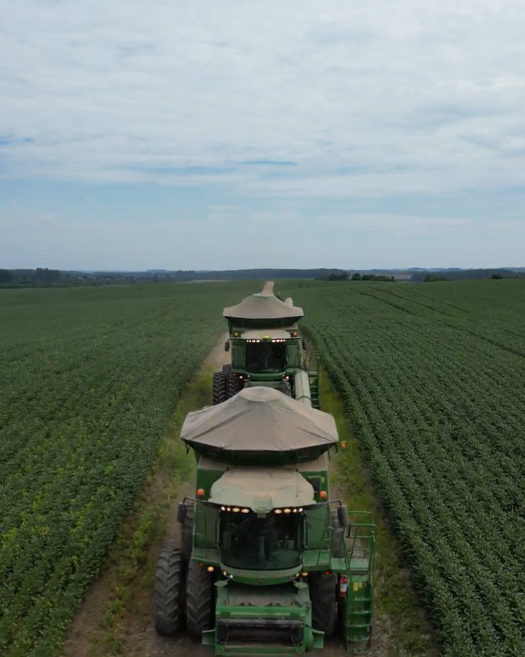 Design sem nome (32)